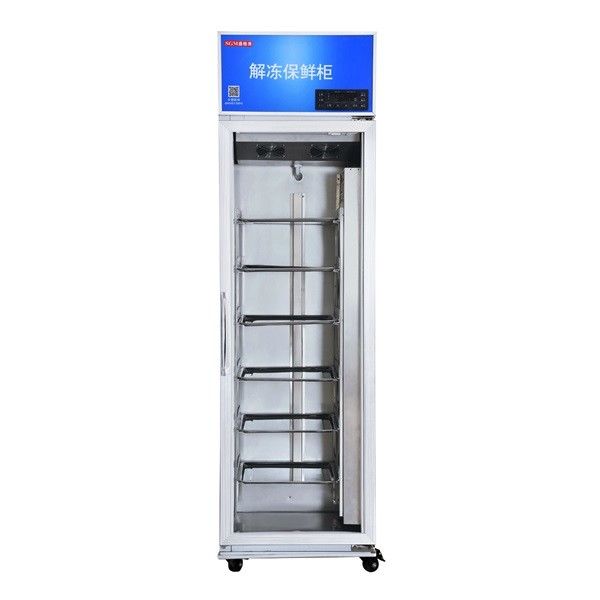 Rapid Thawing Chamber Cabinet Frost Dissolving Frozen Meat Stainless Steel