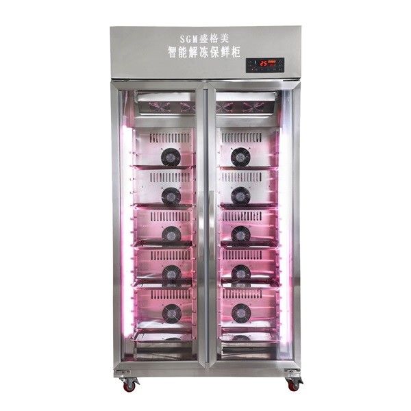 Two Doors Thawing Cabinet Process adjustable temperature control